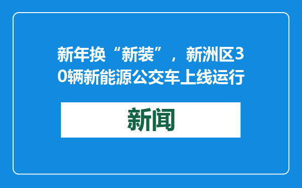 新年换“新装”，新洲区30辆新能源公交车上线运行