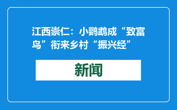 江西崇仁：小鹦鹉成“致富鸟”衔来乡村“振兴经”