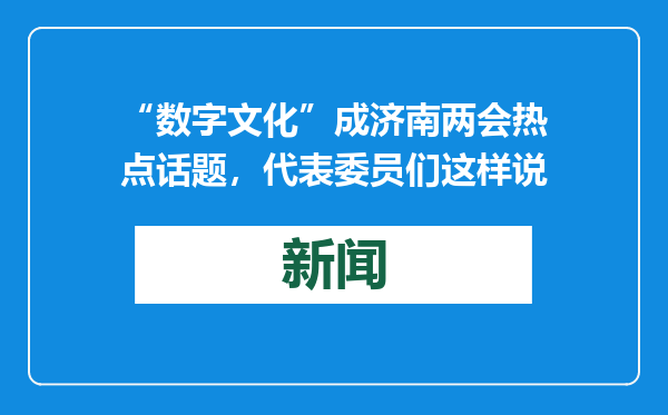 “数字文化”成济南两会热点话题，代表委员们这样说
