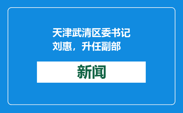 天津武清区委书记刘惠，升任副部