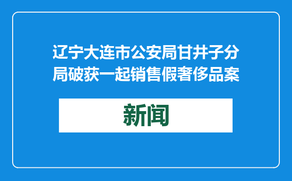 辽宁大连市公安局甘井子分局破获一起销售假奢侈品案