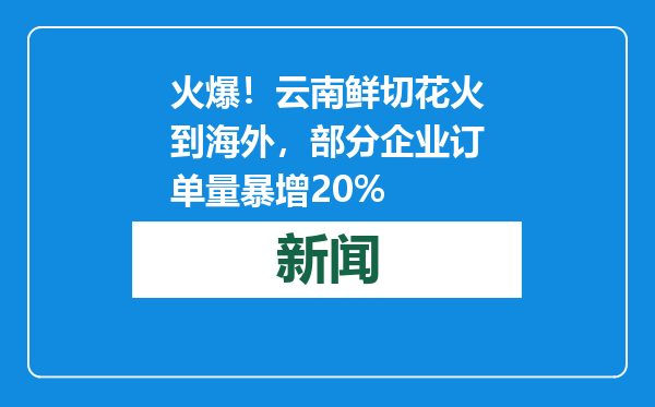 火爆！云南鲜切花火到海外，部分企业订单量暴增20%