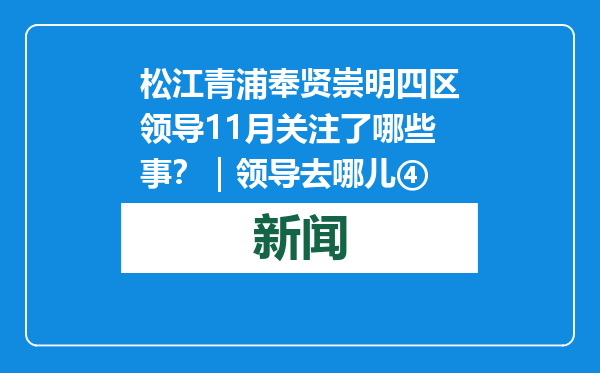 松江青浦奉贤崇明四区领导11月关注了哪些事？｜领导去哪儿④