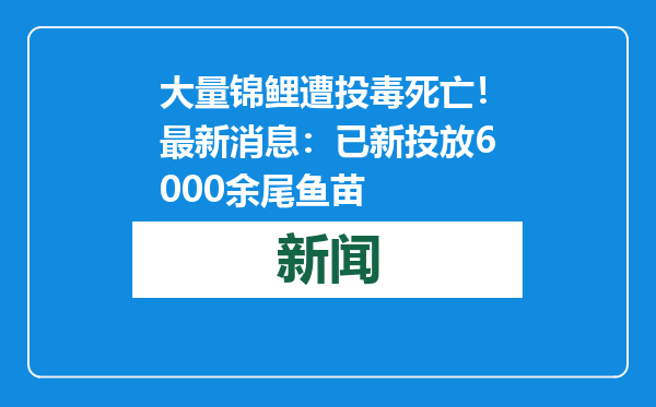 大量锦鲤遭投毒死亡！最新消息：已新投放6000余尾鱼苗