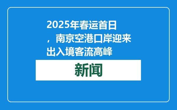 2025年春运首日，南京空港口岸迎来出入境客流高峰