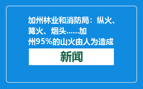 加州林业和消防局：纵火、篝火、烟头......加州95%的山火由人为造成