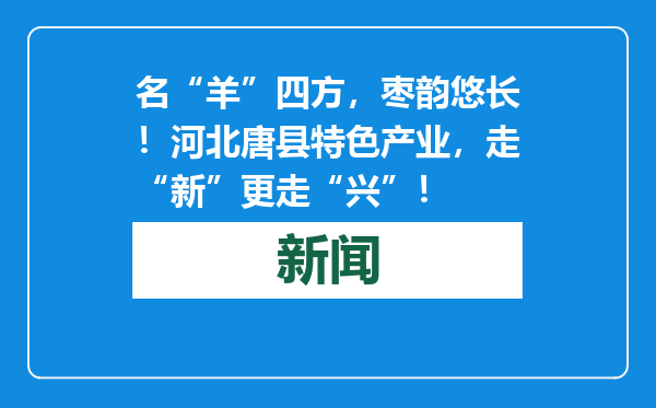 名“羊”四方，枣韵悠长！河北唐县特色产业，走“新”更走“兴”！