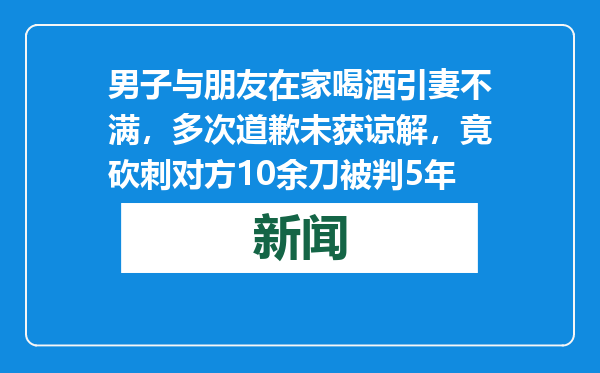 男子与朋友在家喝酒引妻不满，多次道歉未获谅解，竟砍刺对方10余刀被判5年