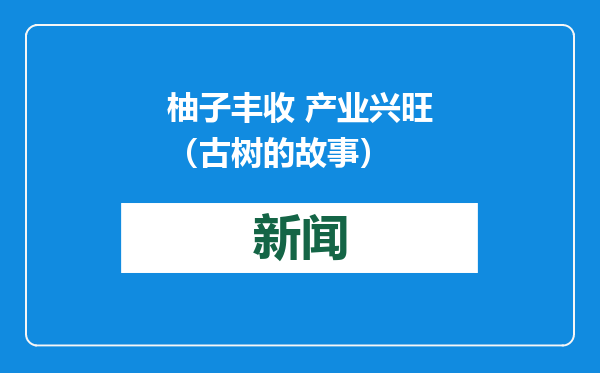 柚子丰收 产业兴旺（古树的故事）