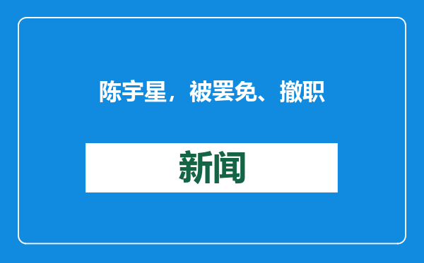 陈宇星，被罢免、撤职