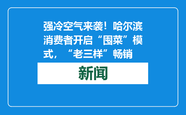 强冷空气来袭！哈尔滨消费者开启“囤菜”模式，“老三样”畅销