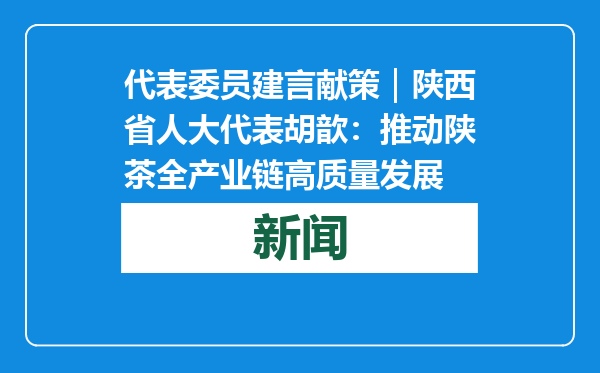 代表委员建言献策｜陕西省人大代表胡歆：推动陕茶全产业链高质量发展