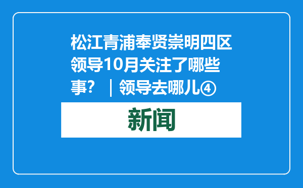 松江青浦奉贤崇明四区领导10月关注了哪些事？｜领导去哪儿④
