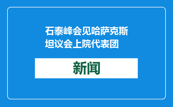 石泰峰会见哈萨克斯坦议会上院代表团