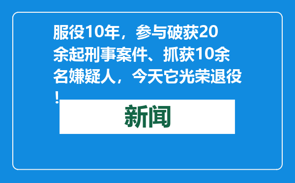 服役10年，参与破获20余起刑事案件、抓获10余名嫌疑人，今天它光荣退役！