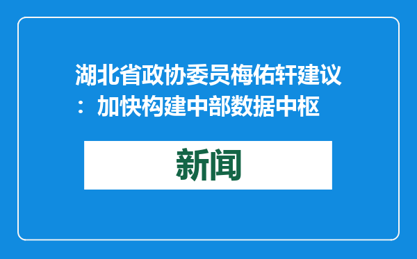 湖北省政协委员梅佑轩建议：加快构建中部数据中枢