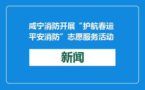 咸宁消防开展“护航春运 平安消防”志愿服务活动