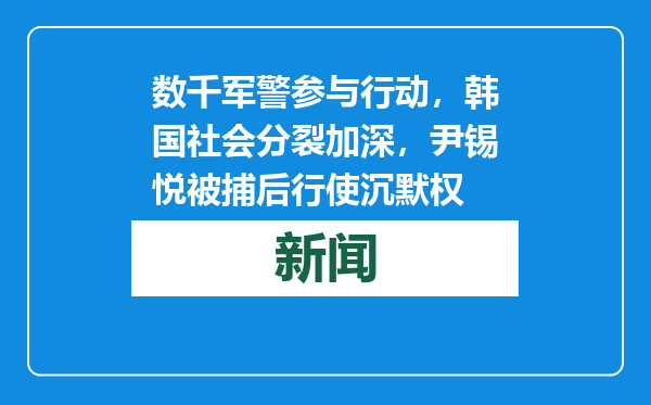数千军警参与行动，韩国社会分裂加深，尹锡悦被捕后行使沉默权