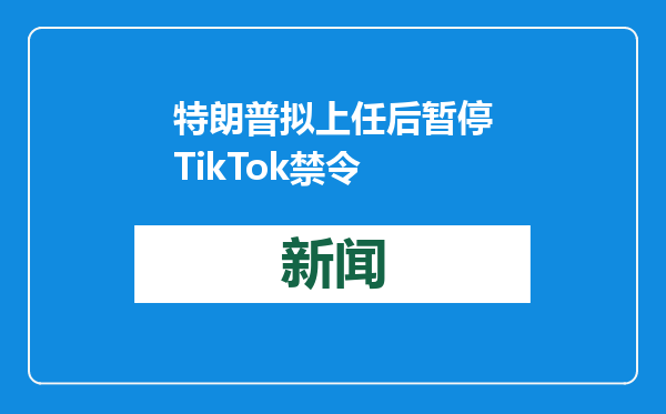 特朗普拟上任后暂停TikTok禁令