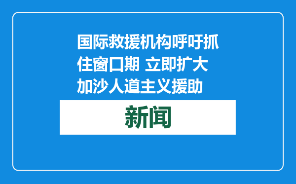 国际救援机构呼吁抓住窗口期 立即扩大加沙人道主义援助