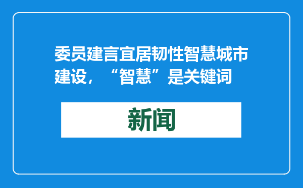 委员建言宜居韧性智慧城市建设，“智慧”是关键词