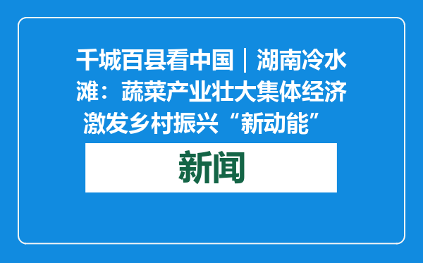 千城百县看中国｜湖南冷水滩：蔬菜产业壮大集体经济 激发乡村振兴“新动能”
