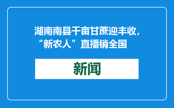 湖南南县千亩甘蔗迎丰收，“新农人”直播销全国