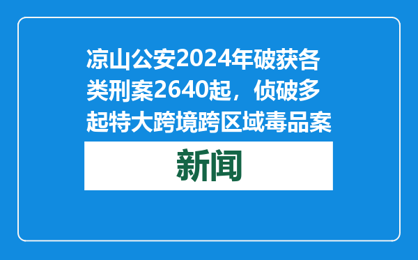 凉山公安2024年破获各类刑案2640起，侦破多起特大跨境跨区域毒品案