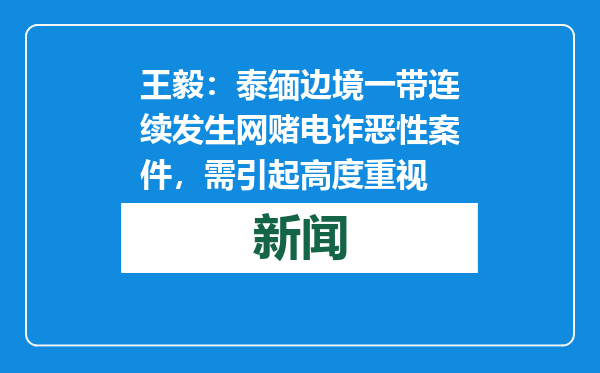 王毅：泰缅边境一带连续发生网赌电诈恶性案件，需引起高度重视