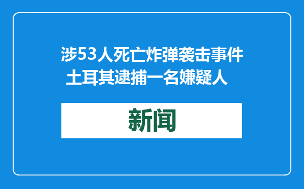 涉53人死亡炸弹袭击事件 土耳其逮捕一名嫌疑人