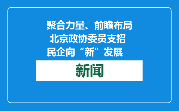 聚合力量、前瞻布局 北京政协委员支招民企向“新”发展