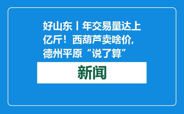 好山东丨年交易量达上亿斤！西葫芦卖啥价,德州平原“说了算”