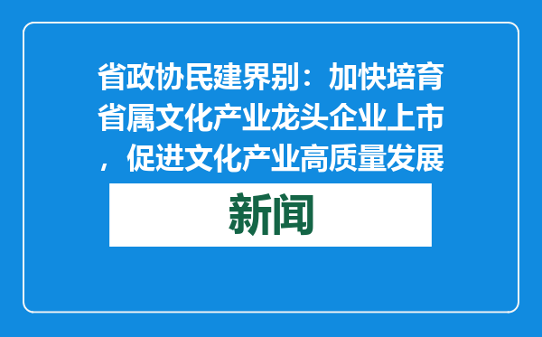 省政协民建界别：加快培育省属文化产业龙头企业上市，促进文化产业高质量发展