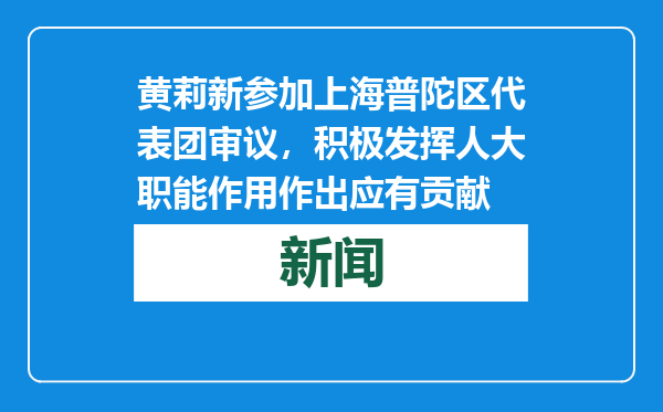 黄莉新参加上海普陀区代表团审议，积极发挥人大职能作用作出应有贡献