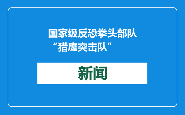 国家级反恐拳头部队“猎鹰突击队”