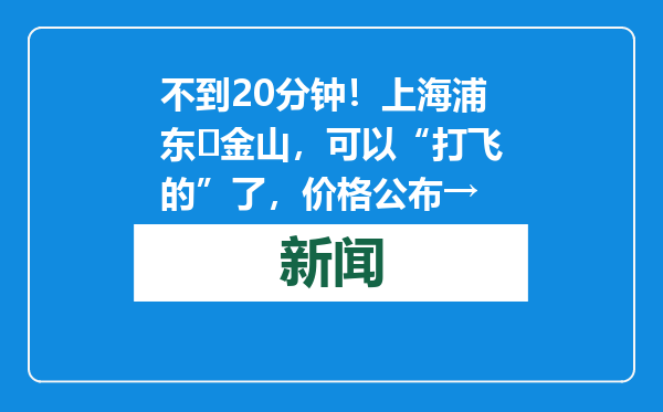 不到20分钟！上海浦东⇋金山，可以“打飞的”了，价格公布→