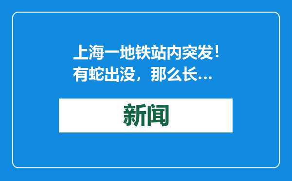 上海一地铁站内突发！有蛇出没，那么长…
