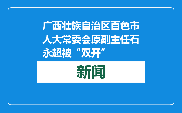 广西壮族自治区百色市人大常委会原副主任石永超被“双开”