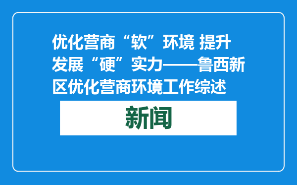 优化营商“软”环境 提升发展“硬”实力——鲁西新区优化营商环境工作综述