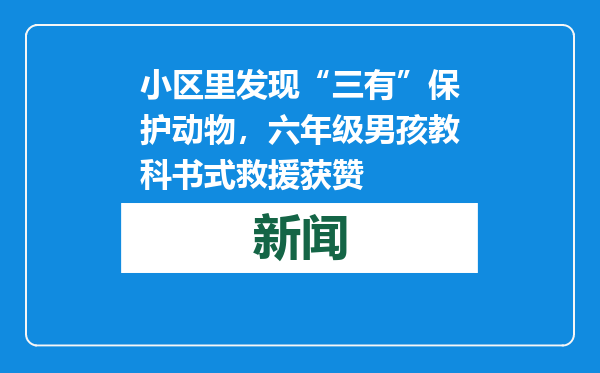 小区里发现“三有”保护动物，六年级男孩教科书式救援获赞