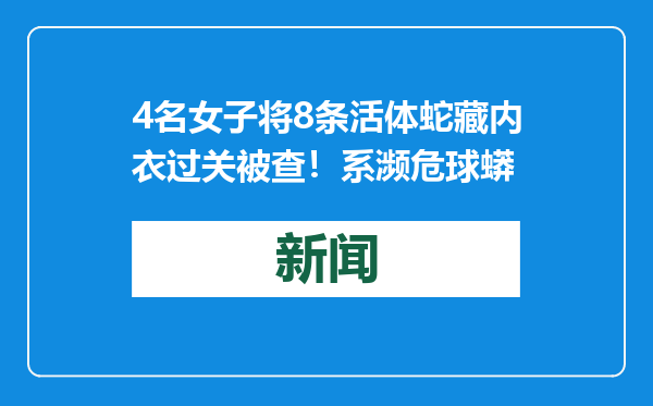 4名女子将8条活体蛇藏内衣过关被查！系濒危球蟒