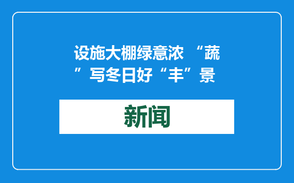 设施大棚绿意浓 “蔬”写冬日好“丰”景
