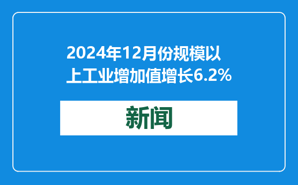 2024年12月份规模以上工业增加值增长6.2%
