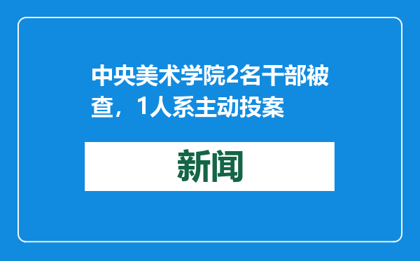 中央美术学院2名干部被查，1人系主动投案