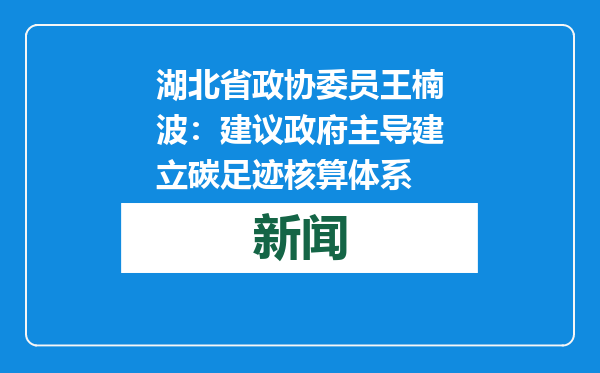湖北省政协委员王楠波：建议政府主导建立碳足迹核算体系