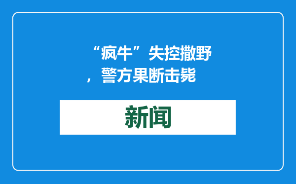 “疯牛”失控撒野，警方果断击毙