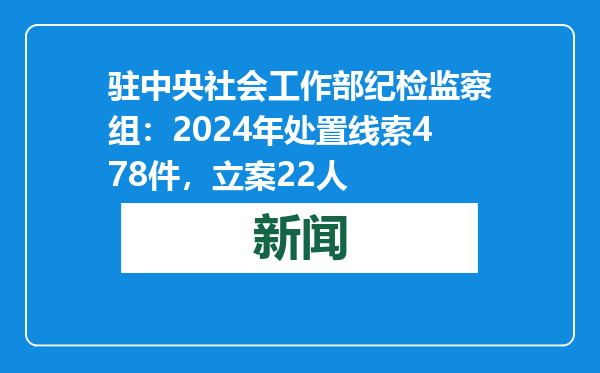 驻中央社会工作部纪检监察组：2024年处置线索478件，立案22人