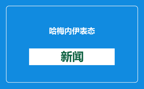 哈梅内伊表态