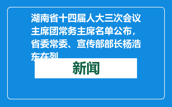 湖南省十四届人大三次会议主席团常务主席名单公布，省委常委、宣传部部长杨浩东在列