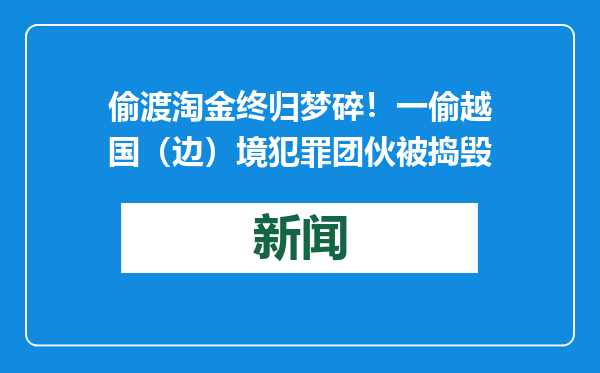 偷渡淘金终归梦碎！一偷越国（边）境犯罪团伙被捣毁
